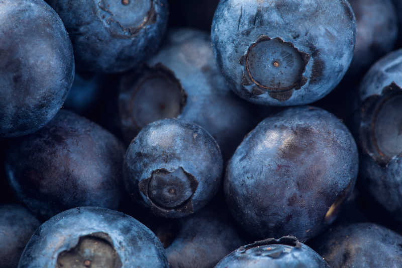蓝莓特写