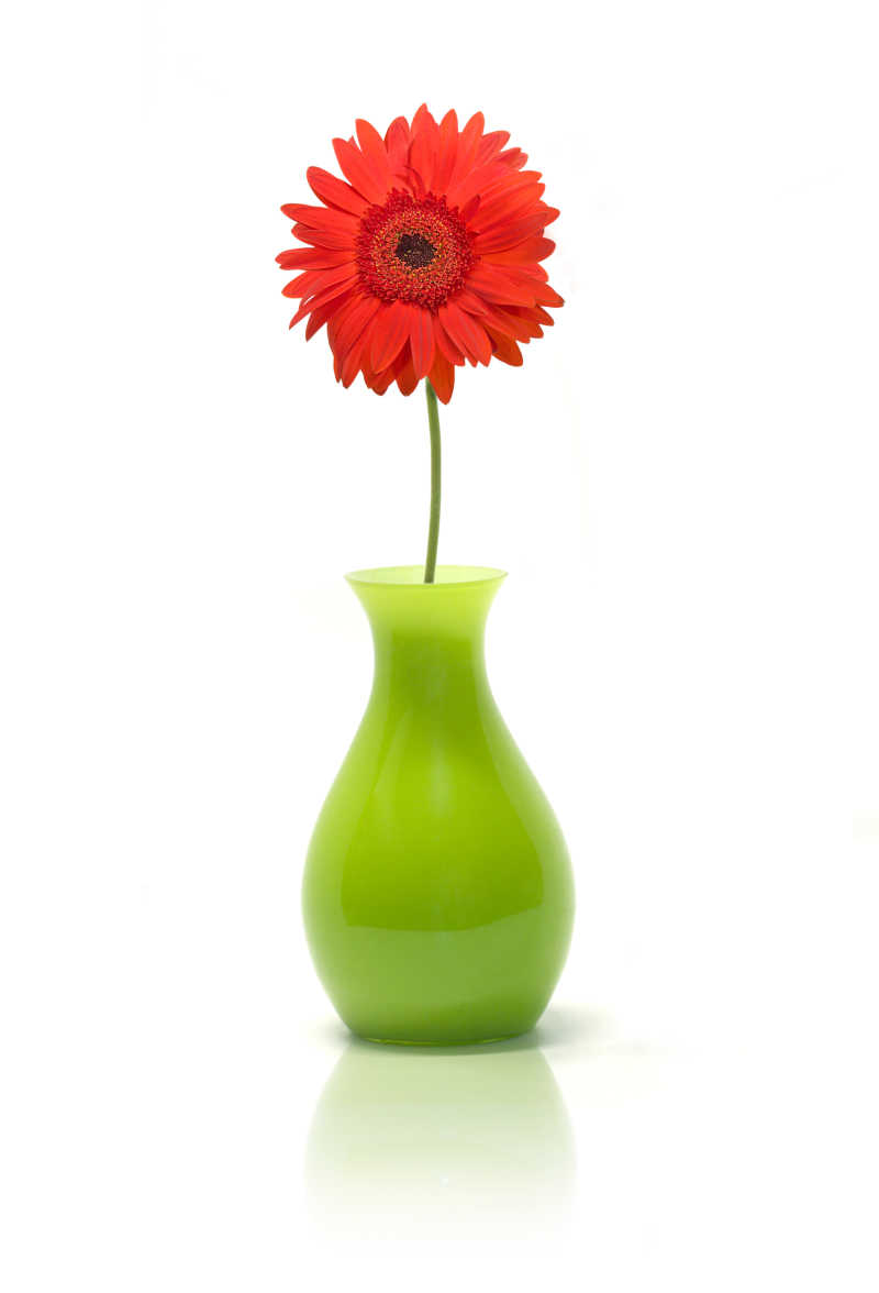 绿色花瓶里的菊花特写