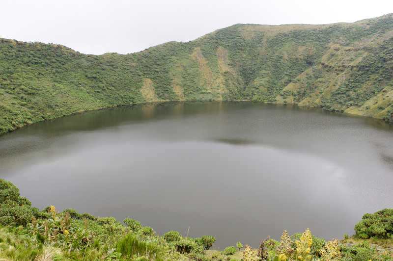 长满植物的火山湖特写