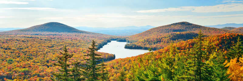 森林中的河流风景