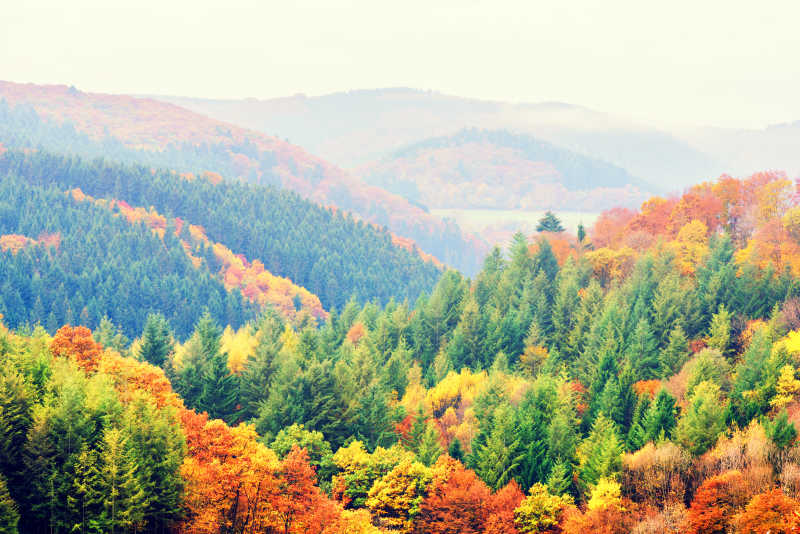 秋天的自然美景