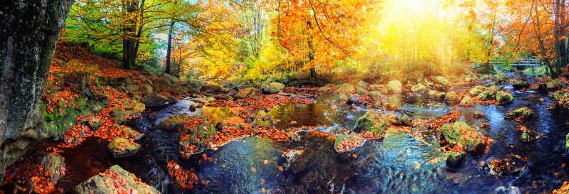 秋天的美丽的自然景色