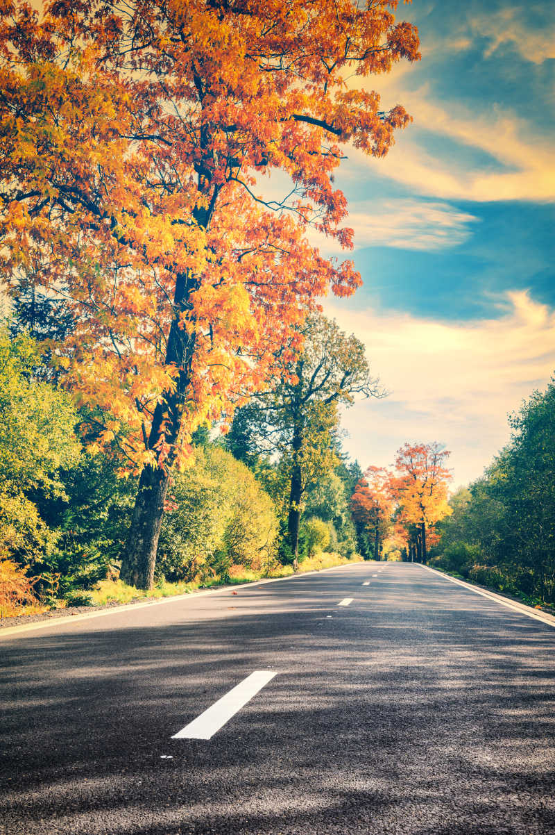 美丽秋天景色图片 路边的美丽秋天景色素材 高清图片 摄影照片 寻图免费打包下载