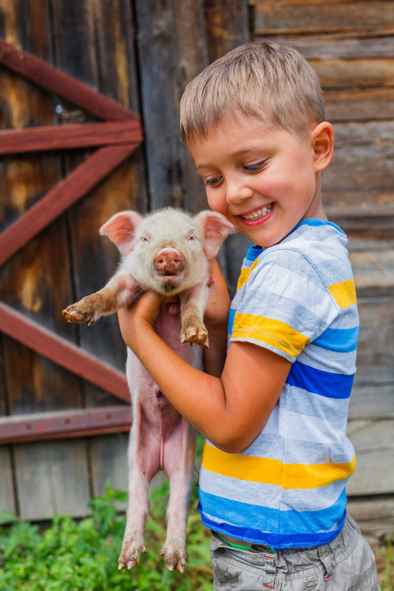 抱着小猪的男孩