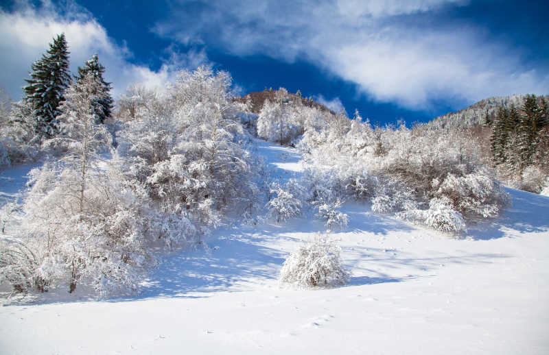 雪景色图片 雪景壁纸素材 高清图片 摄影照片 寻图免费打包下载