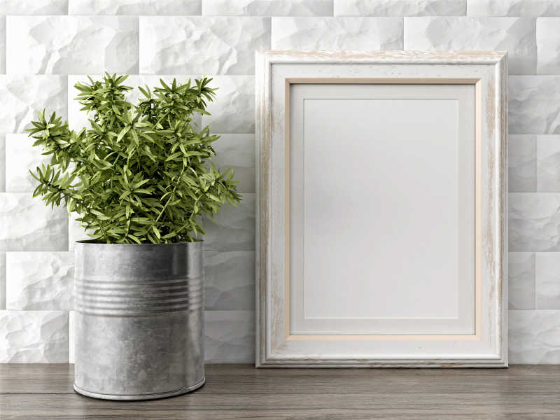 空的现代风格框架和一盆绿色植物