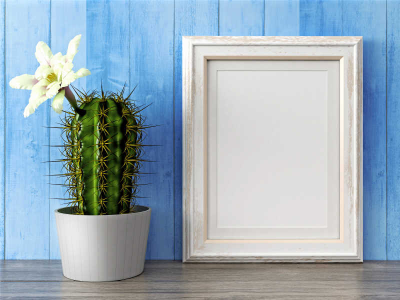 蓝背景中空的框架和绿色花卉