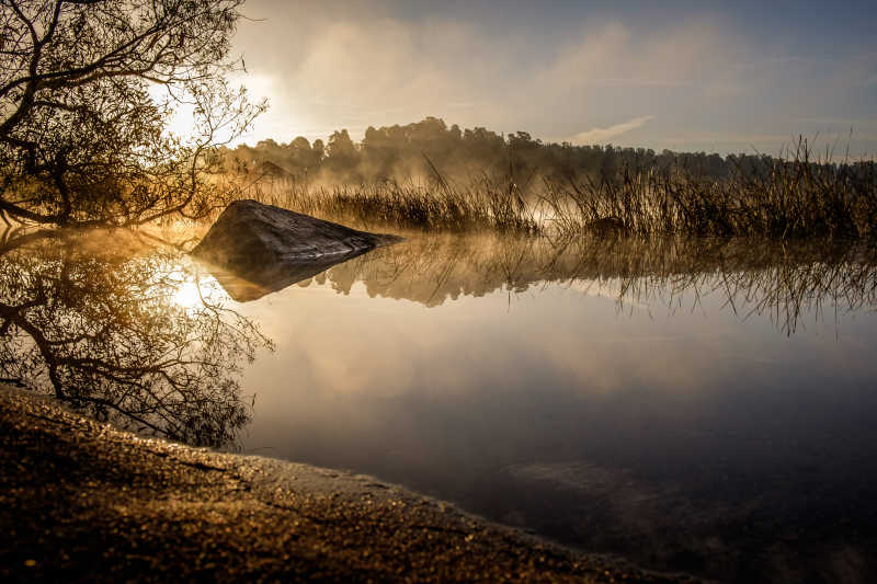 日出时湖附近雾蒙蒙的自然景色