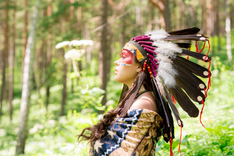 在绿色森林中的印第安人