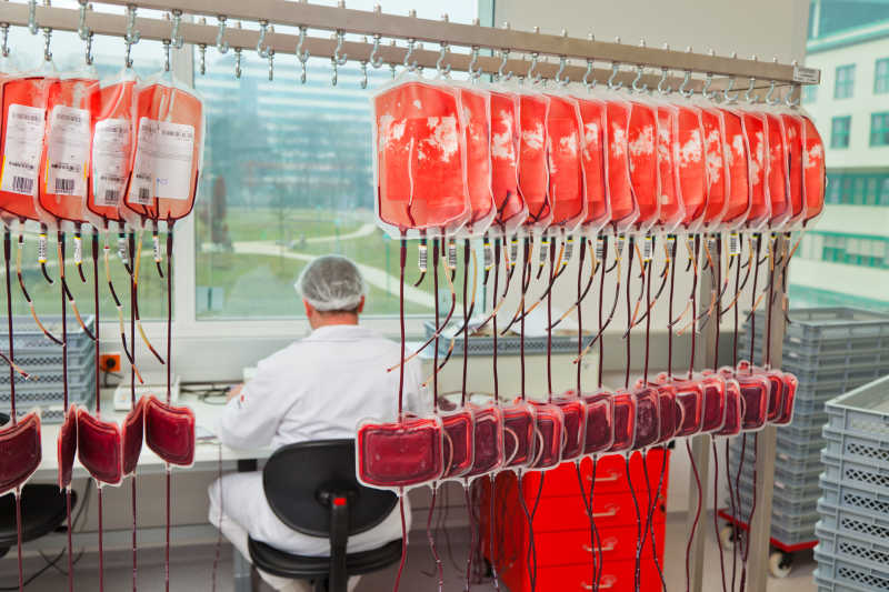 一位医生在实验室里研究捐赠的血液