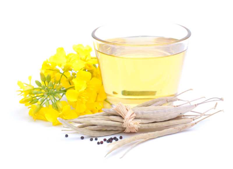 鲜艳的油菜花和食用油