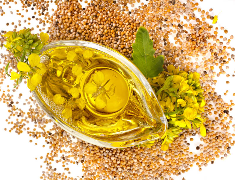 油菜花和花油