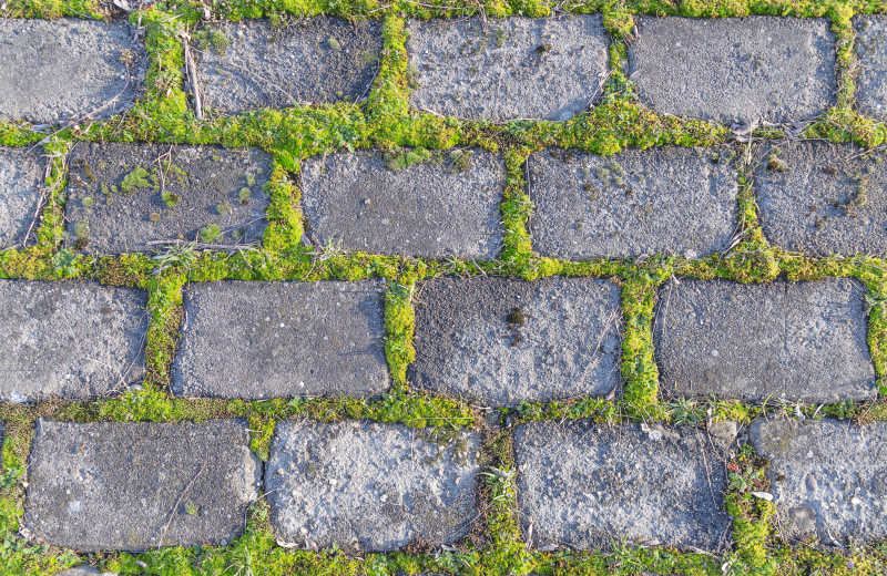 长满青苔的灰色石墙