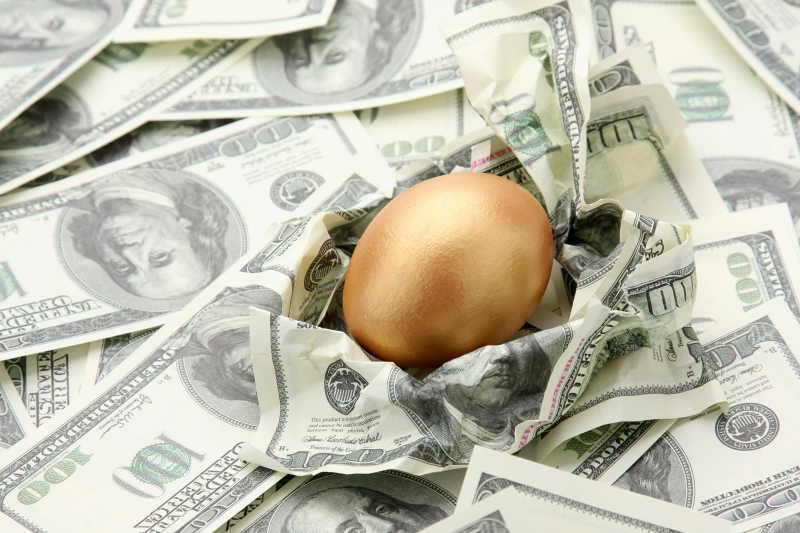 以美元纸币做巢的金蛋