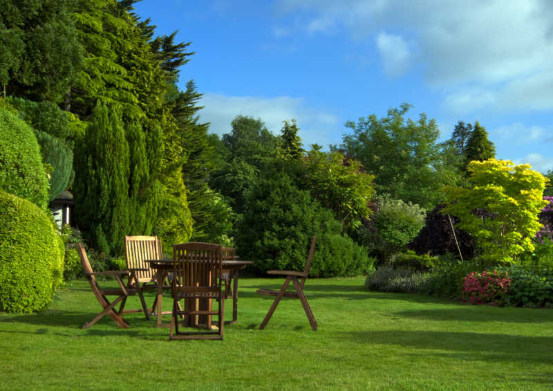 树木旁边草地上的餐桌椅