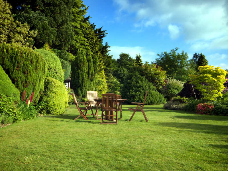 绿色植物旁边草地上的餐桌椅