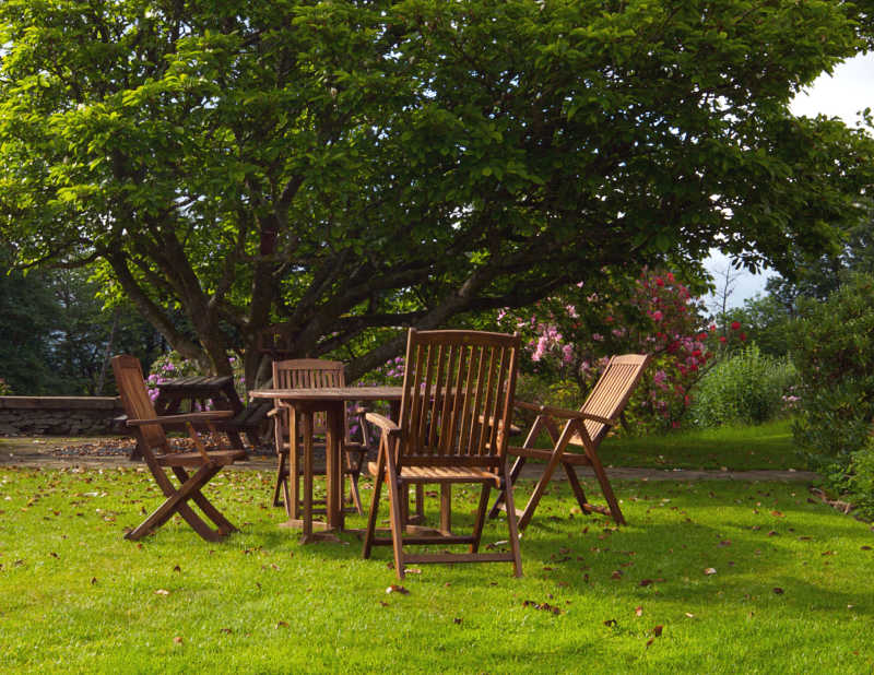 绿色树下的餐桌椅