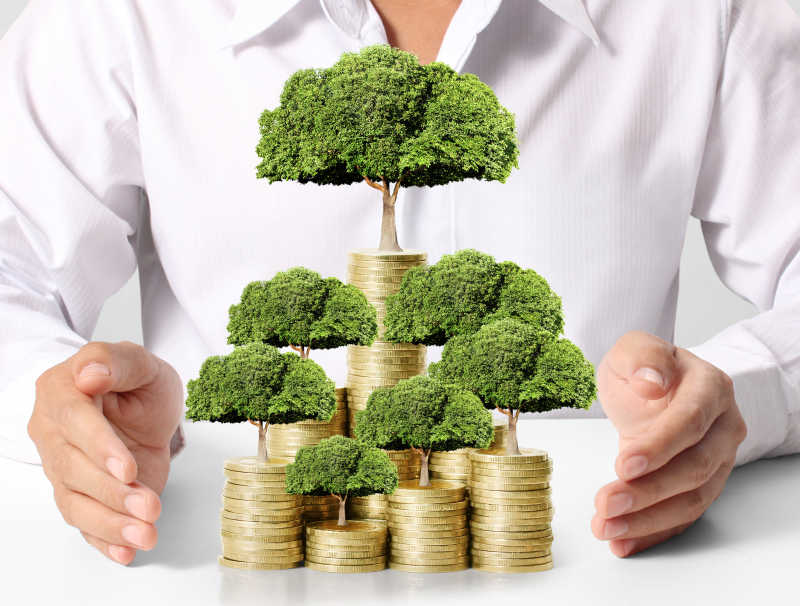 白色衬衫的男人用手呵护着金币上的绿色植物