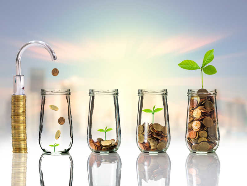 以水培养植物为比喻的商业投资增长理念