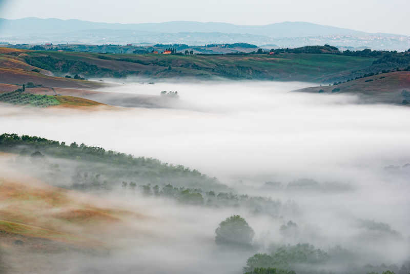 美丽的自然薄雾风景