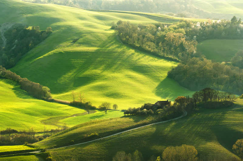 阳光下的绿色草地