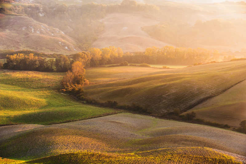 阳光下的美丽农场