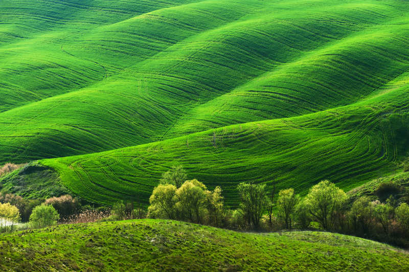 美丽的田园草地