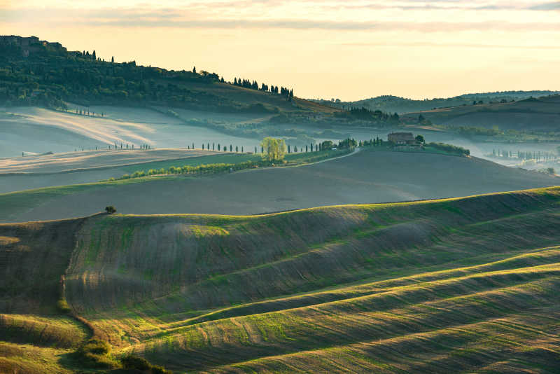 美丽的田园风景