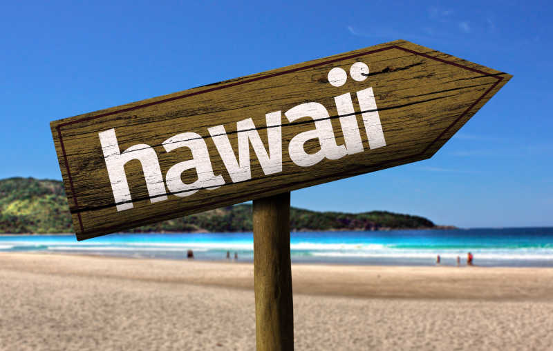 海滩上的木头编制