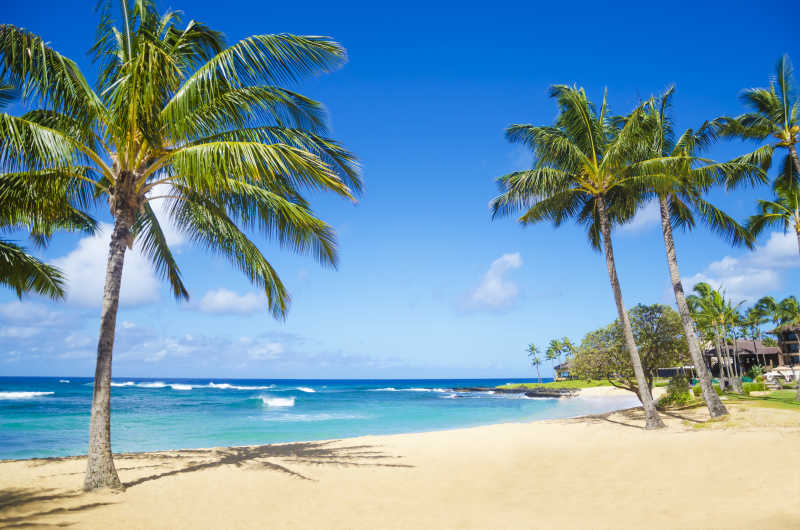 夏威夷海滩图片素材 夏威夷海滩的美丽景色创意图片 Jpg格式 未来素材下载