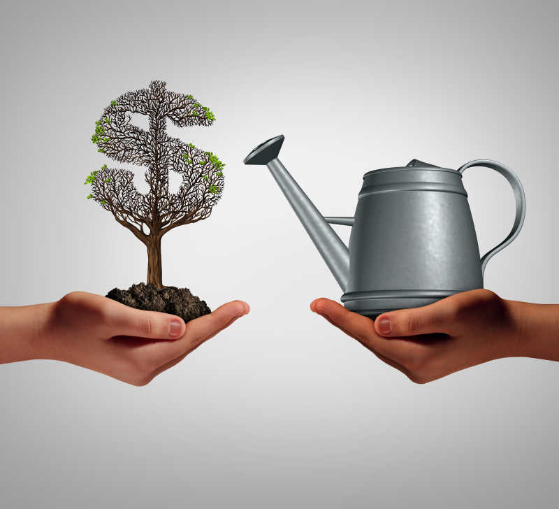 创意财政树木与水壶