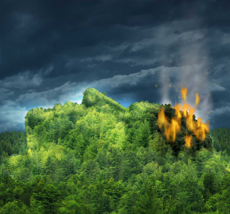 创意脸部树木失火特写