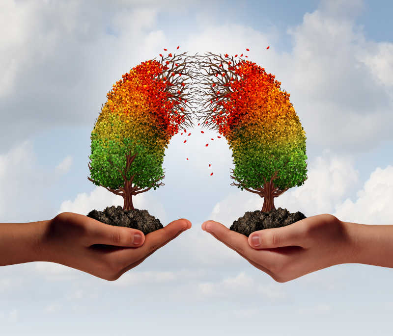 创意树木分开合作危机