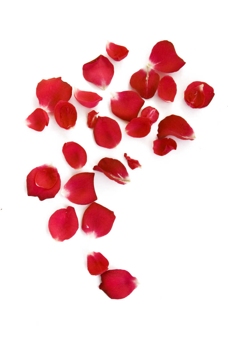 Фото лепестки роз на прозрачном фоне