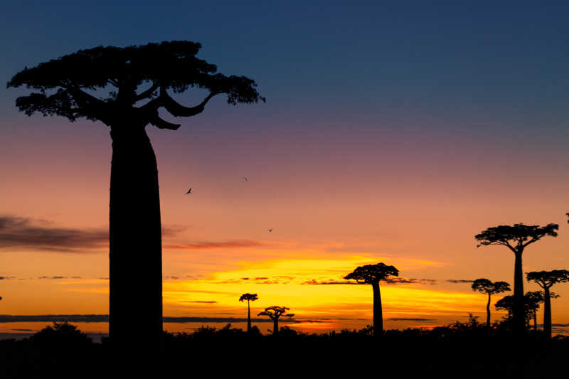 马达加斯加日落风景