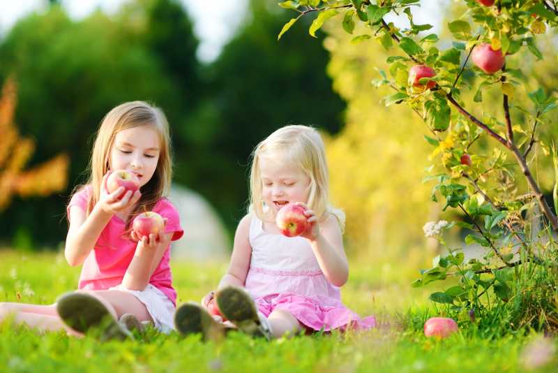 坐在草地上拿着苹果的小女孩