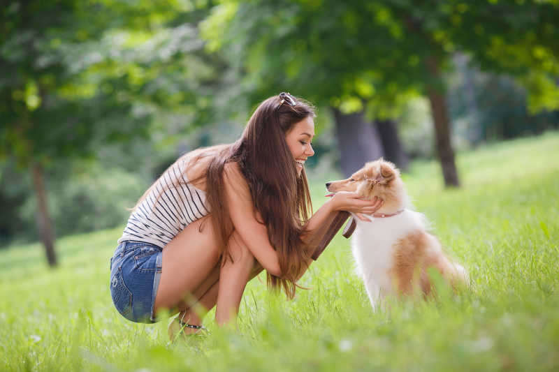 草地上的美女和宠物狗狗