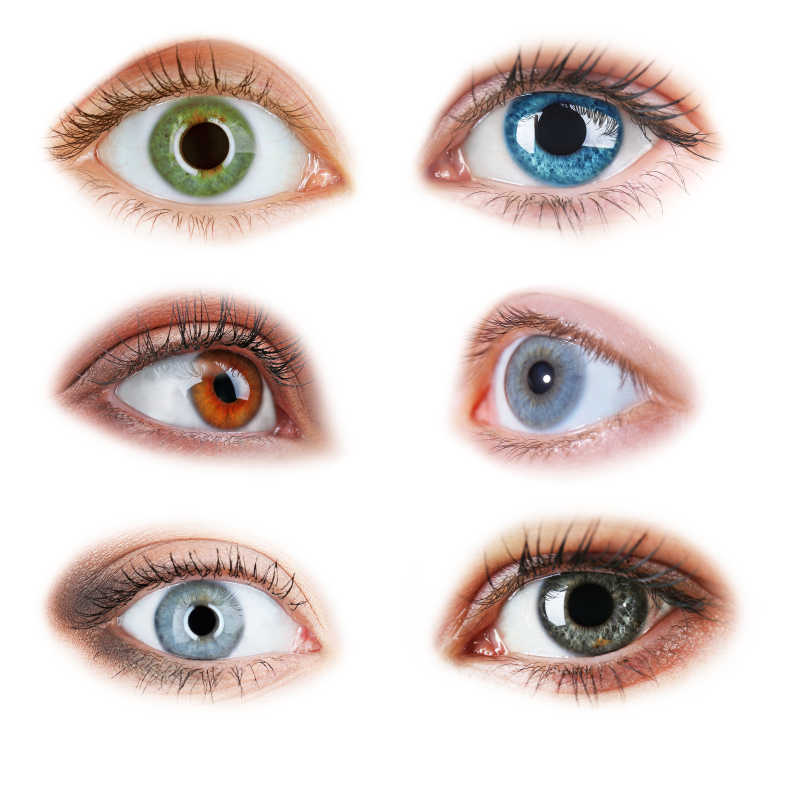 各色各样的不同瞳孔的眼睛