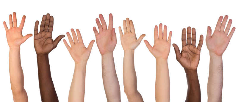 许多双手在白色背景下