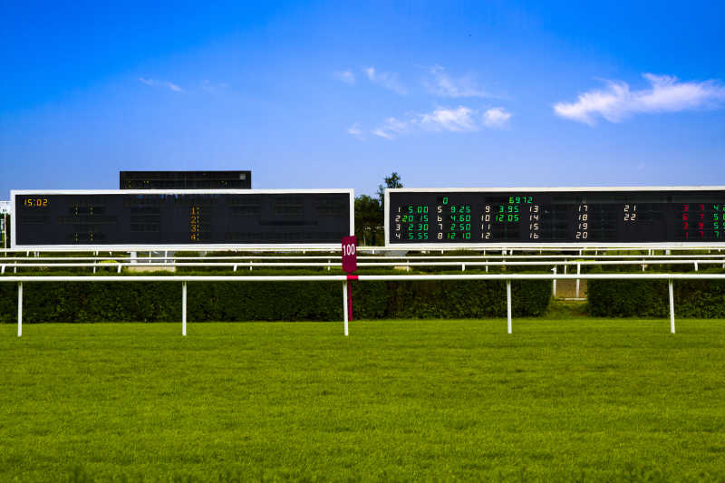 蓝天下的赛马场