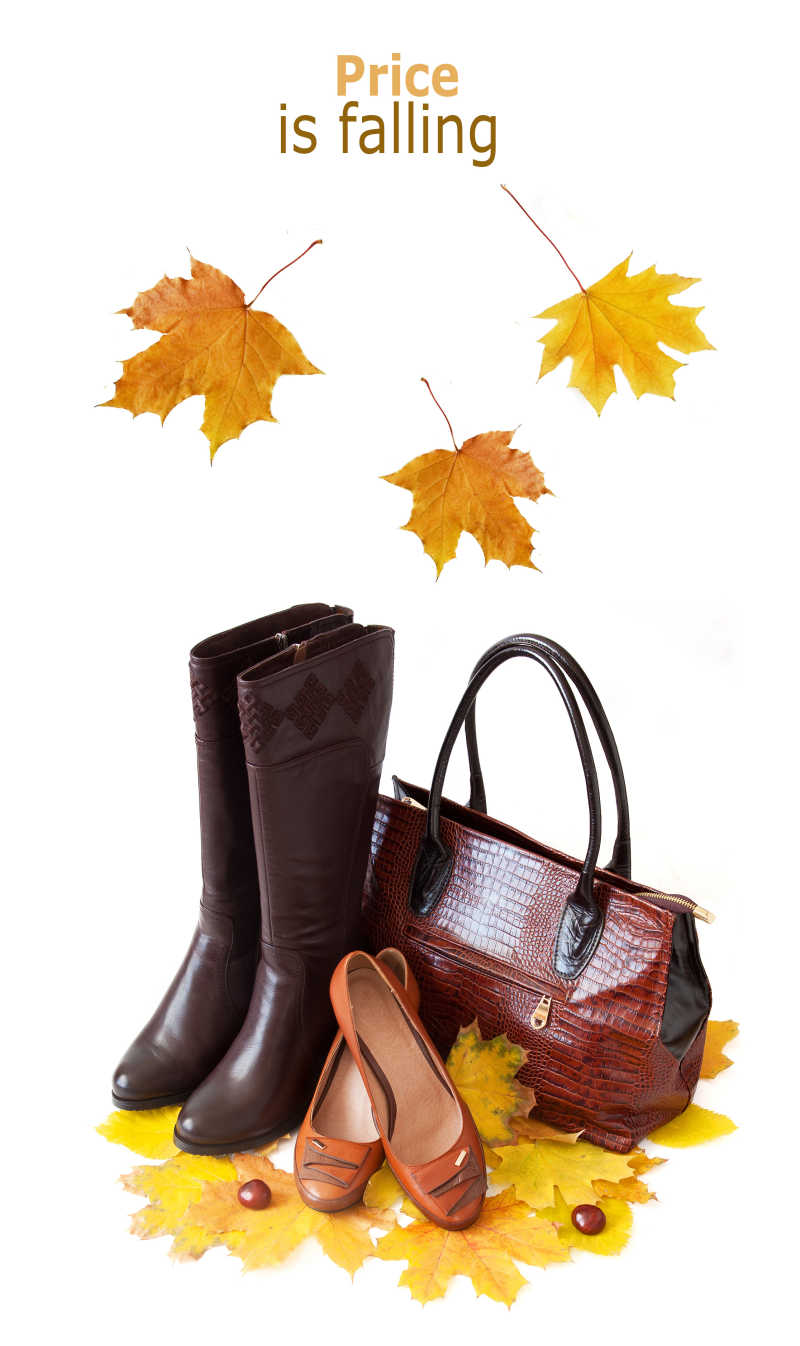 女士手提包和女士皮鞋