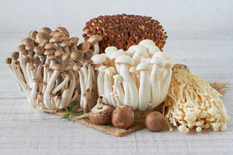 木制上的新鲜蘑菇组合