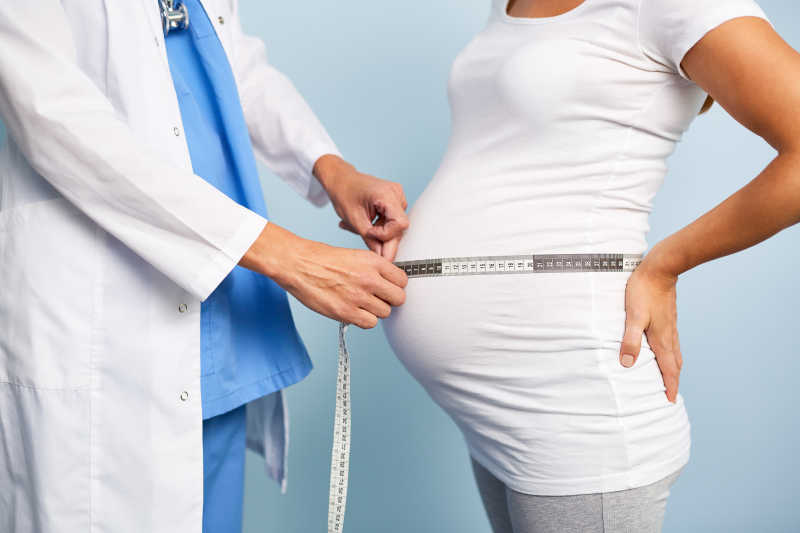 胎儿腹围测量示意图图片