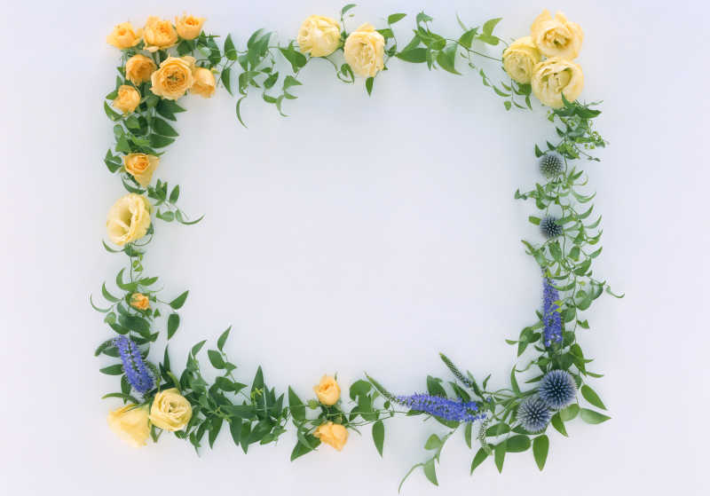 白色背景下黄色和蓝色花交织编制的方形花环