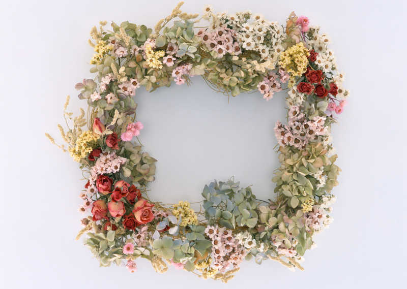 白色背景下各色花儿编制的花环