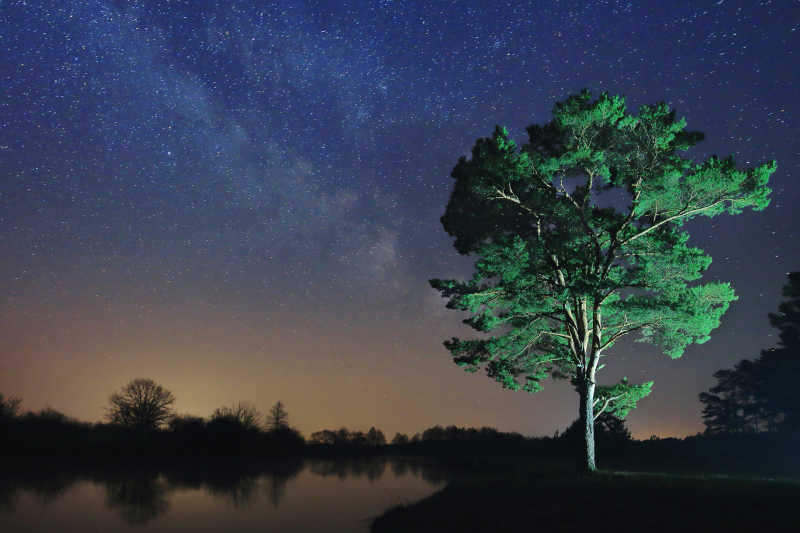 星空背景下一棵树孤独的夜景