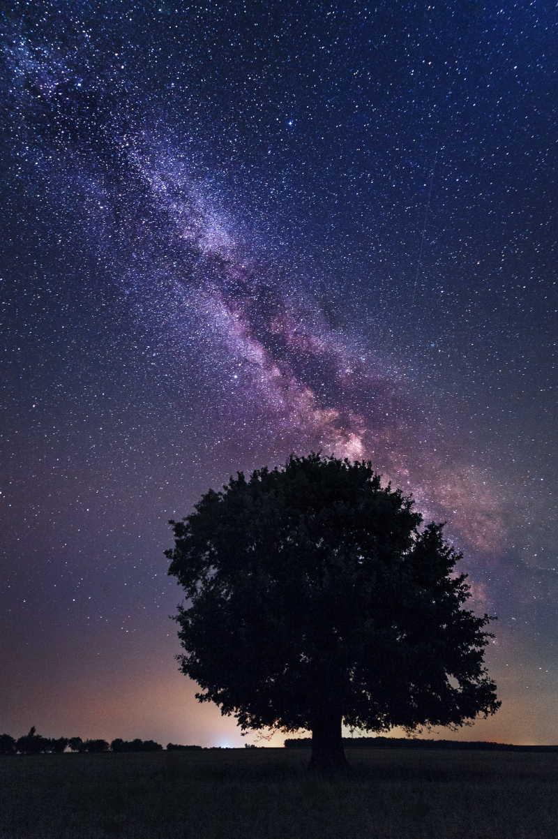 美丽银河下的一棵树