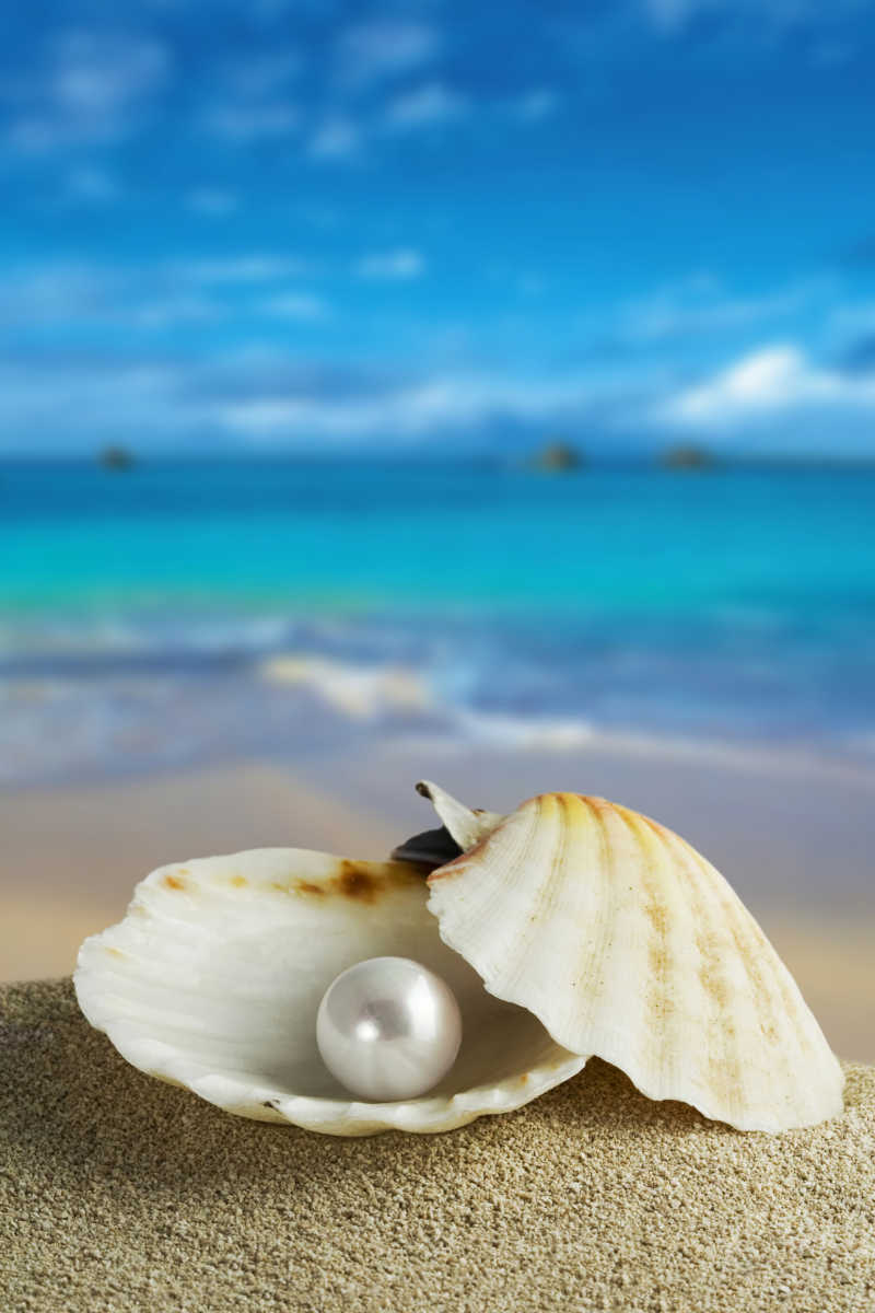 蓝色天空下海滩上带有珍珠的贝壳