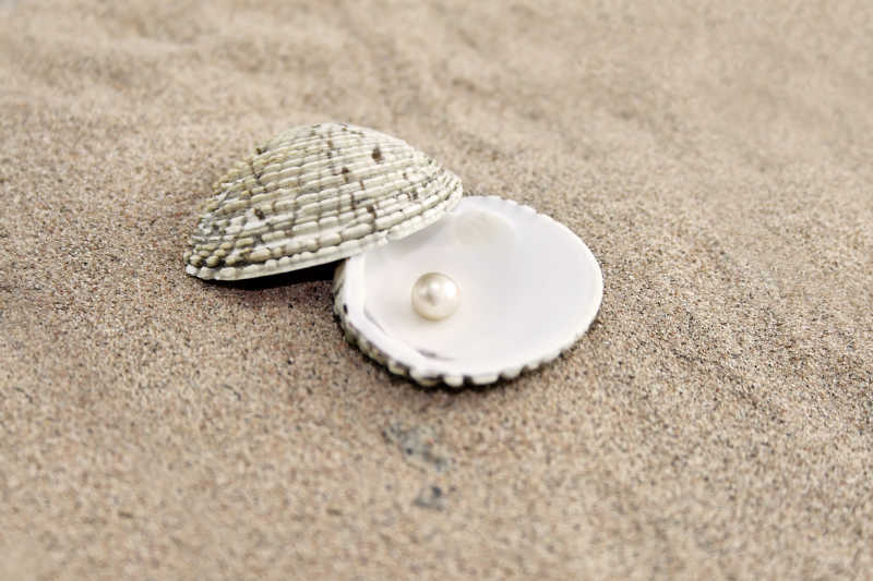 沙滩上有珍珠的贝壳