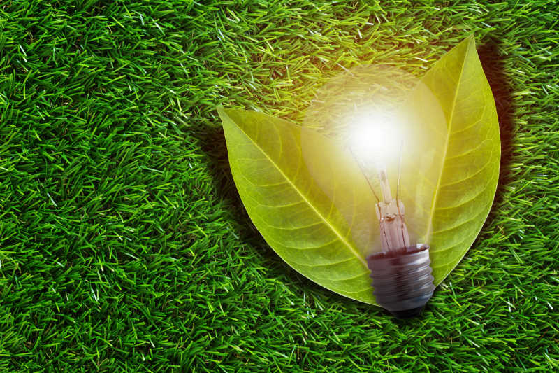 绿色草地上的生态理念